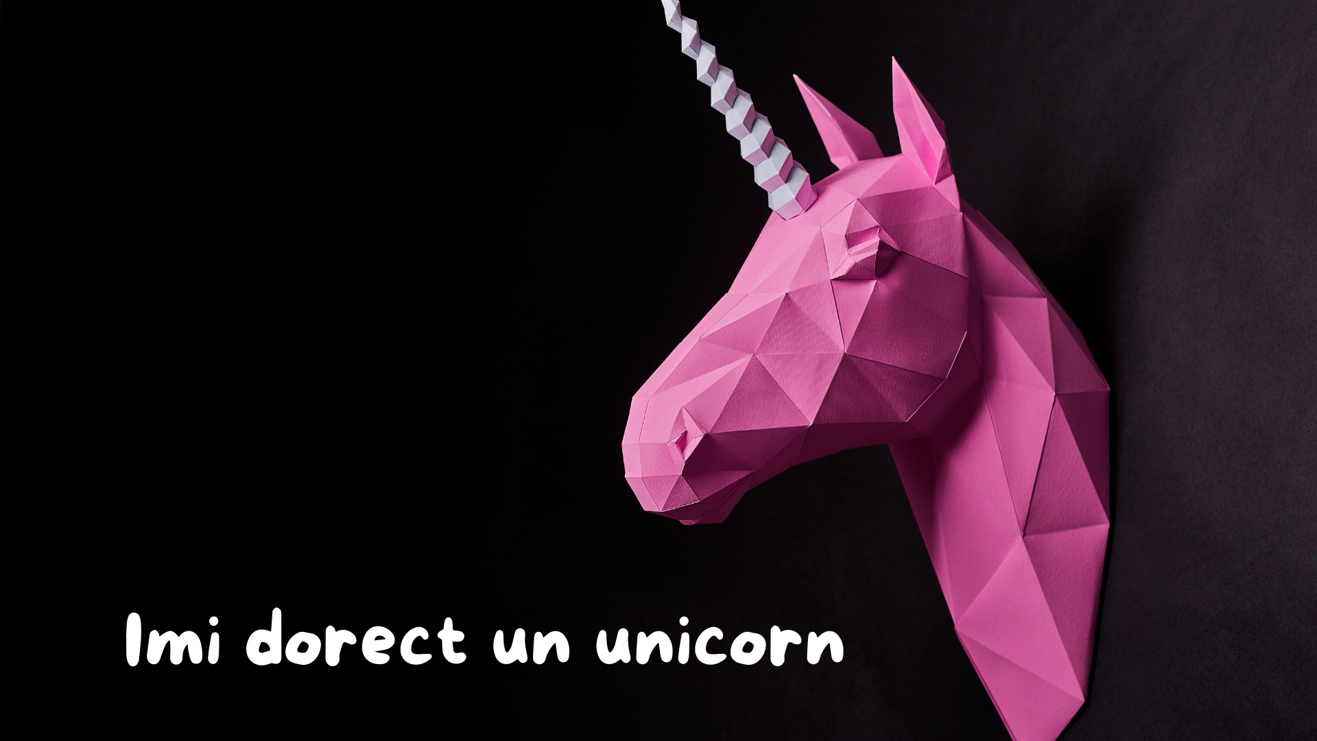 Anatomia unui Unicorn: De ce Viziunea Tehnică nu este Suficientă